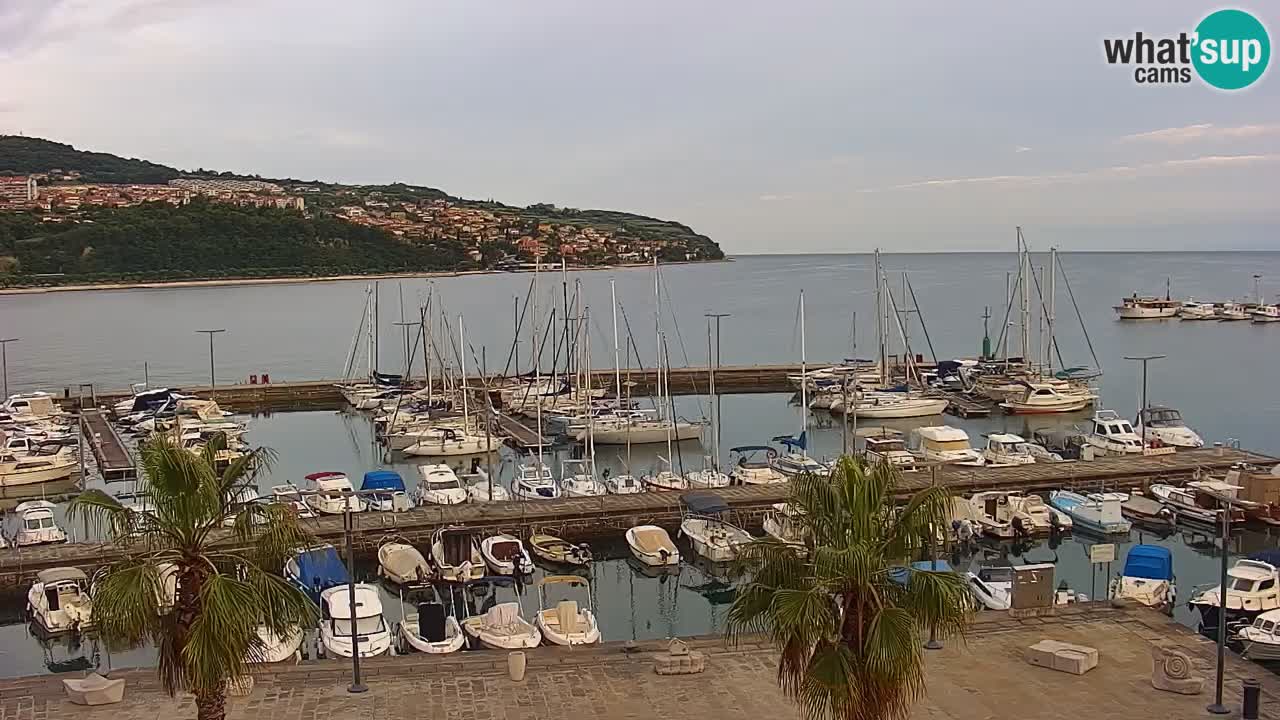 Camera en vivo Koper – puerto deportivo y paseo marítimo desde el Hotel Grand Koper