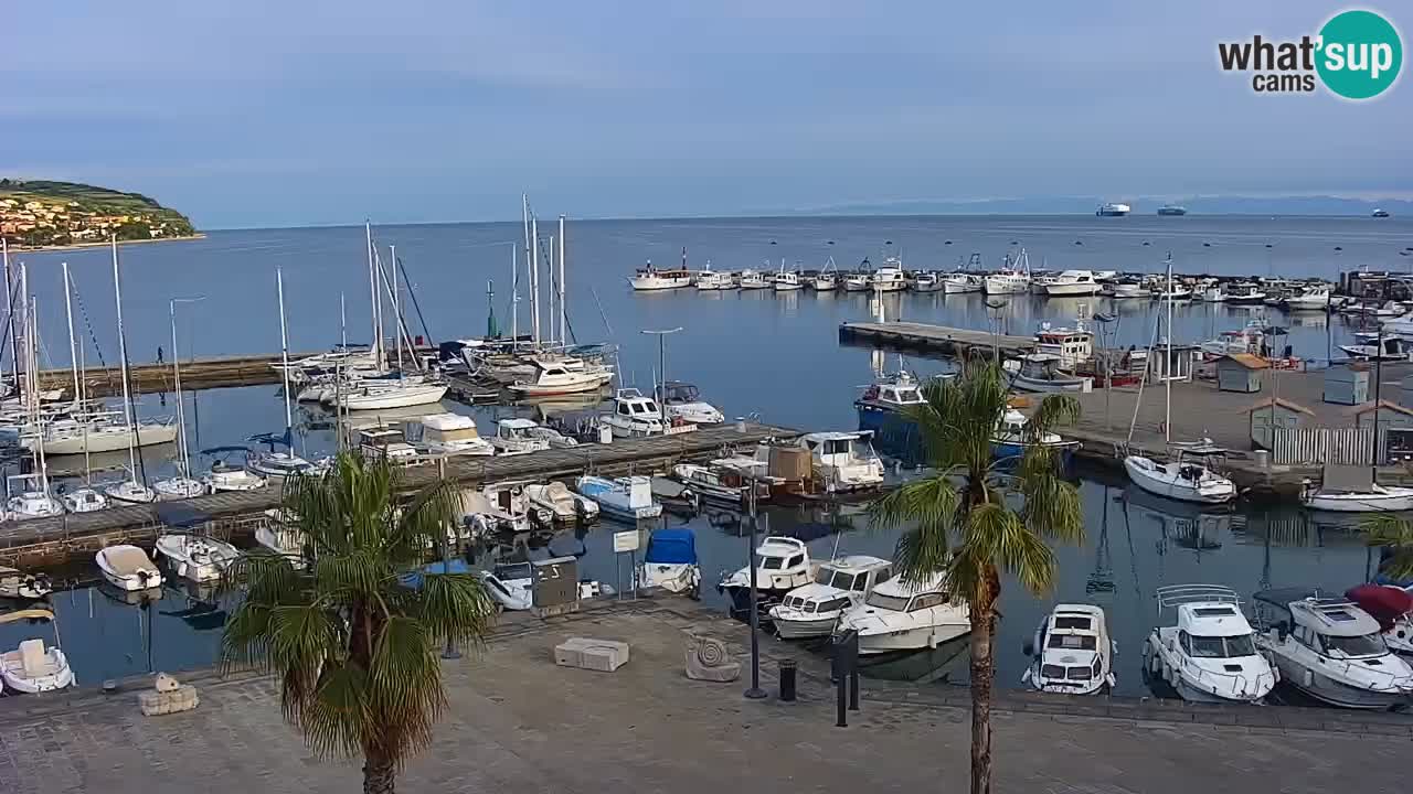 Camera en vivo Koper – puerto deportivo y paseo marítimo desde el Hotel Grand Koper