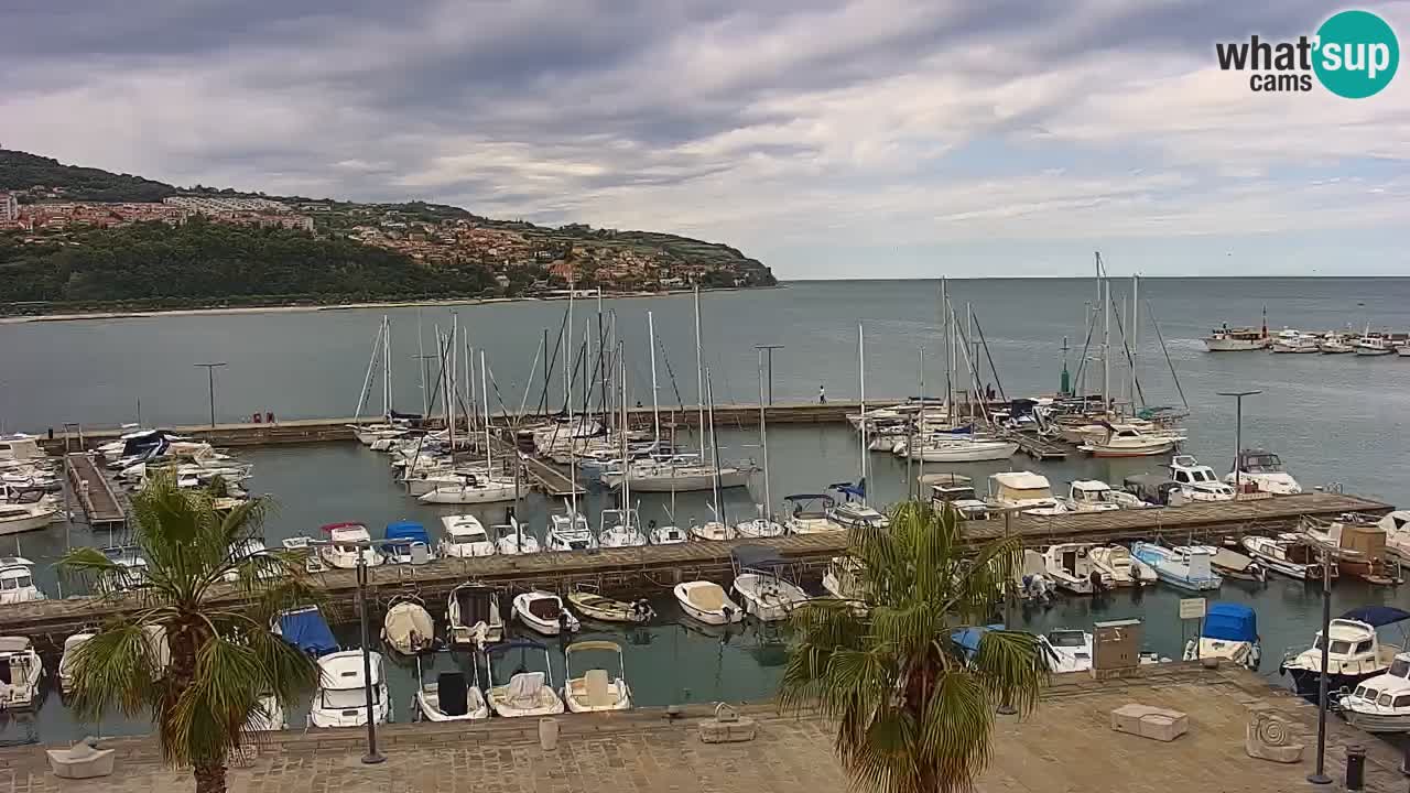 Webcam Koper – Panorama des Jachthafens und der Promenade vom Hotel Grand Koper