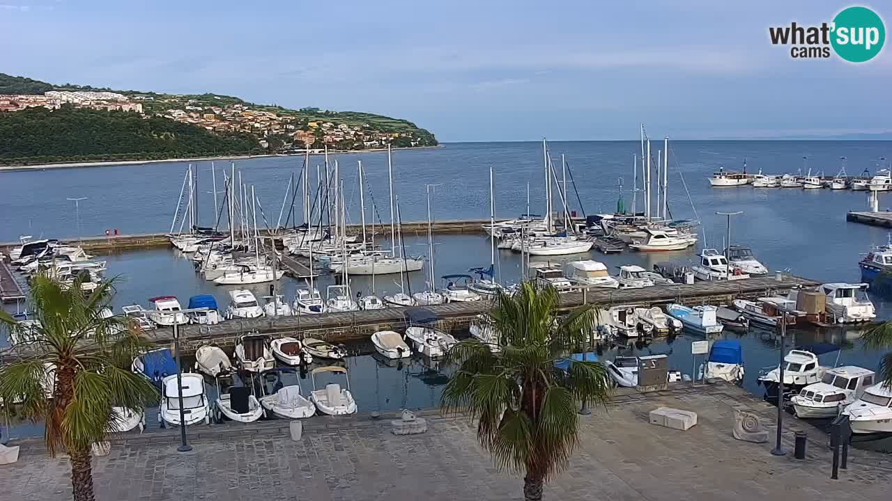 Webcam Koper – Ukmarjev trg
