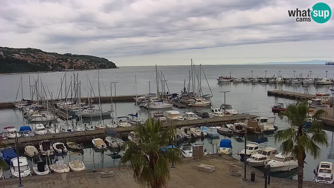 Camera en vivo Koper – puerto deportivo y paseo marítimo desde el Hotel Grand Koper