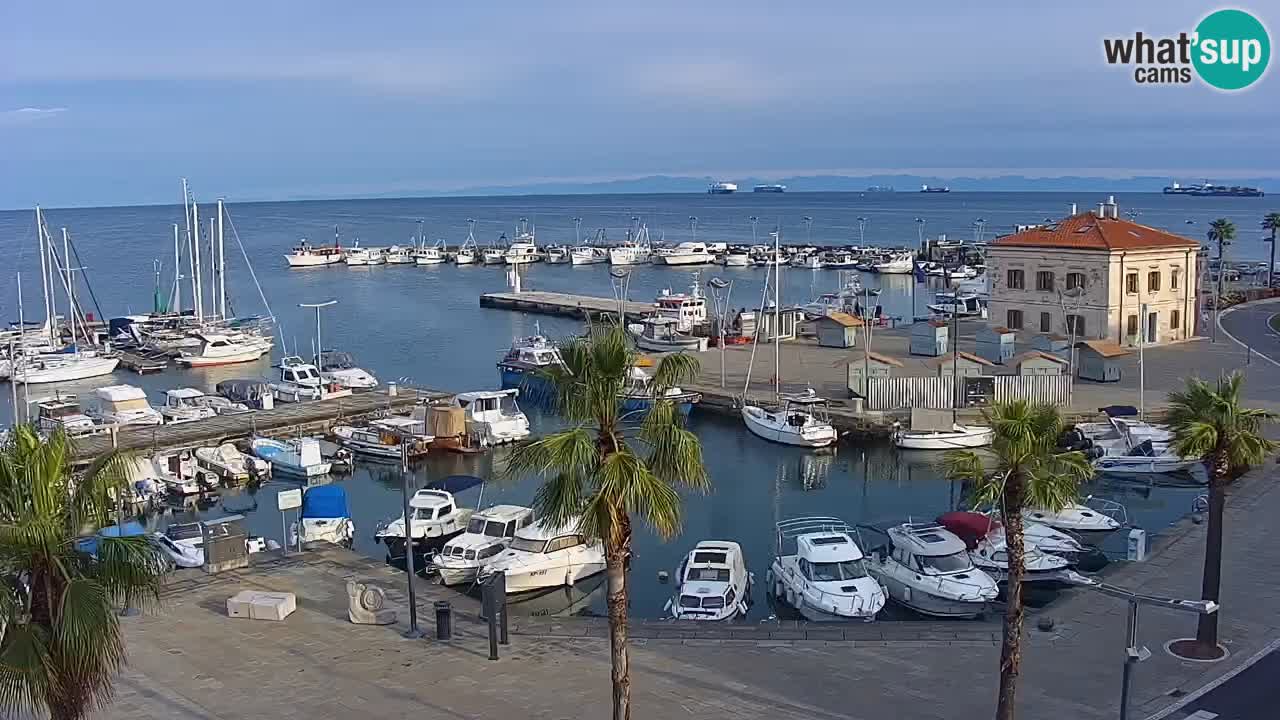 Camera en vivo Koper – puerto deportivo y paseo marítimo desde el Hotel Grand Koper