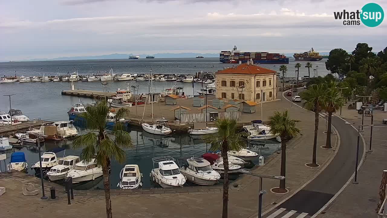 Spletna kamera Koper – Panorama na marino in promenado s Hotela Grand Koper