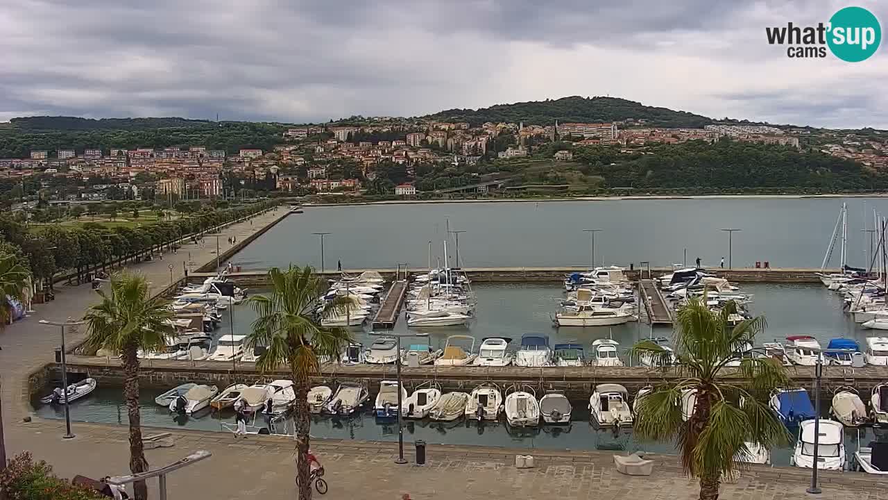 The Port of Koper live webcam – cruise and cargo port – Slovenia