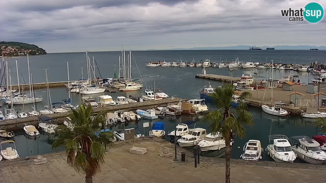 Webcam Koper – Panorama of the marina and promenade from the Grand Hotel Koper