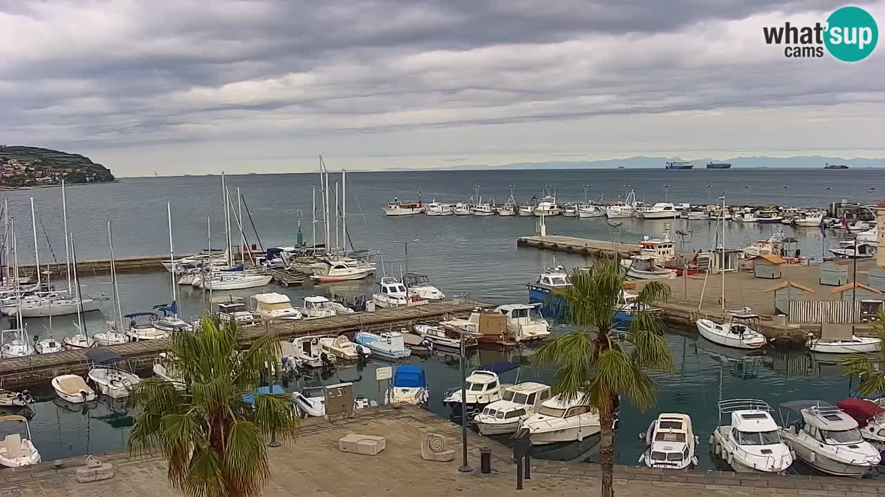 Webcam Capodistria – marina e lungo mare dall’Hotel Grand Koper