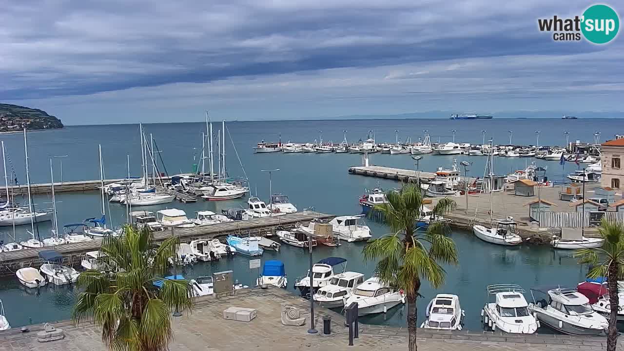 Web kamera Koper – marina i promenada – hotel Grand Koper