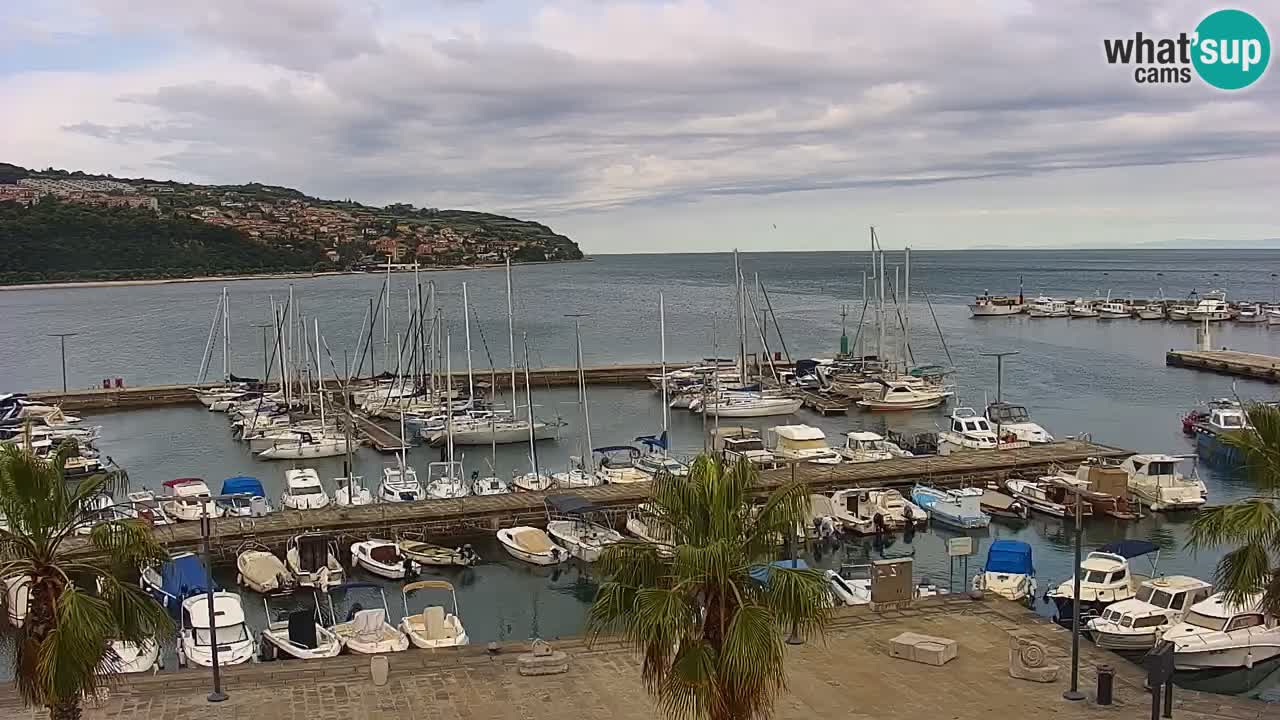 Webcam Koper – Panorama de la marina et de la promenade depuis le Grand Hotel Koper