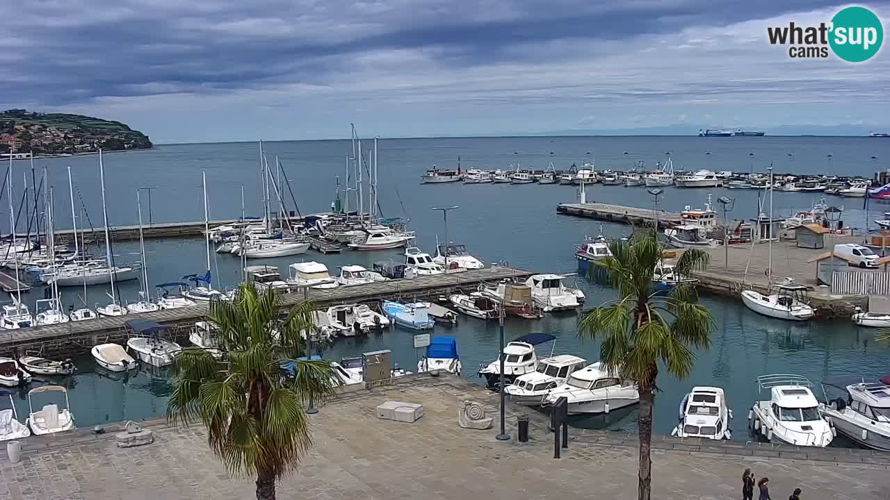 Camera en vivo Koper – puerto deportivo y paseo marítimo desde el Hotel Grand Koper
