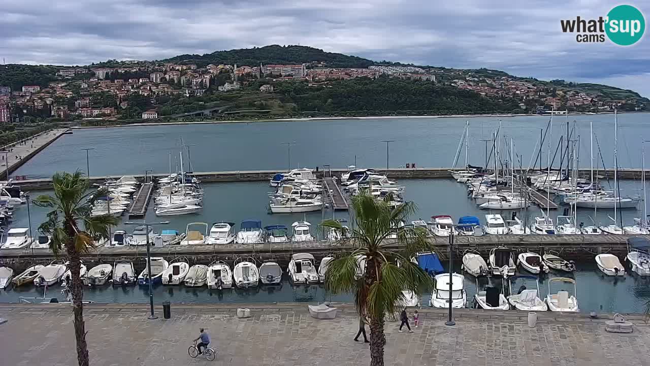 Web kamera Koper – marina i promenada – hotel Grand Koper