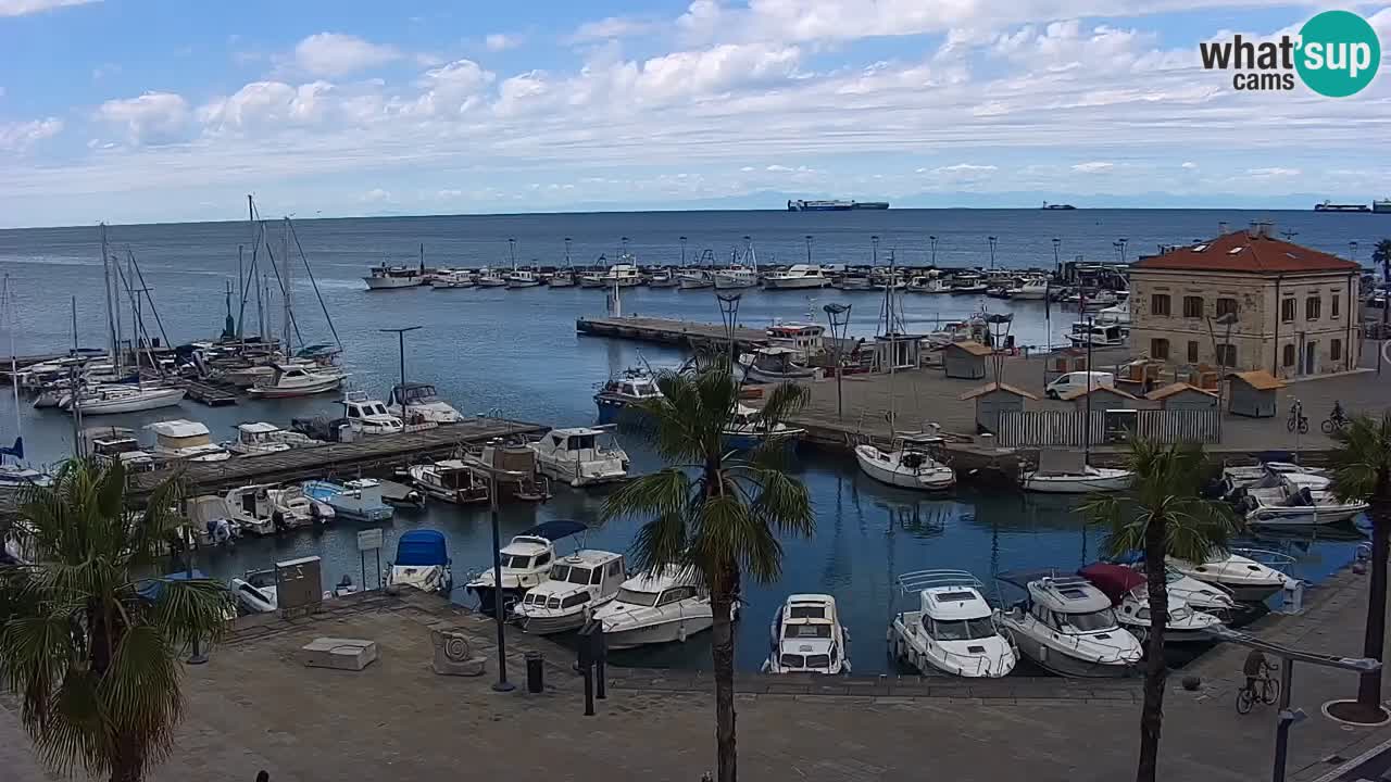 Camera en vivo Koper – puerto deportivo y paseo marítimo desde el Hotel Grand Koper