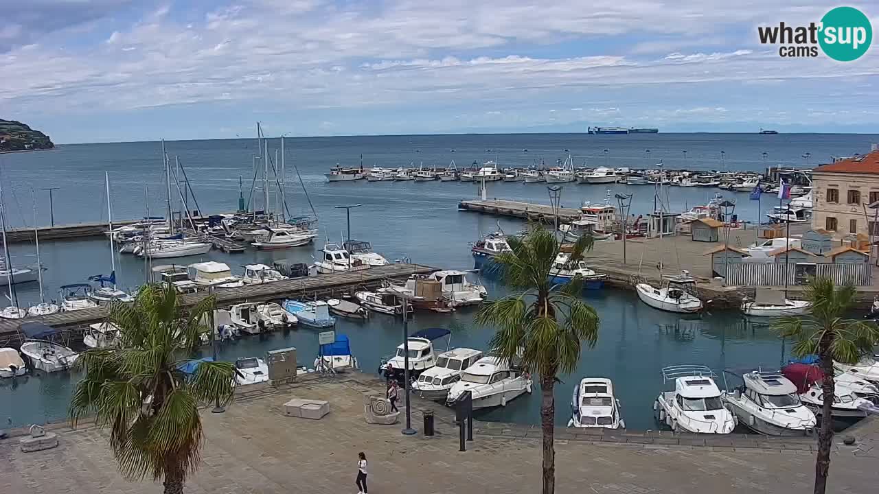 Web kamera Koper – marina i promenada – hotel Grand Koper