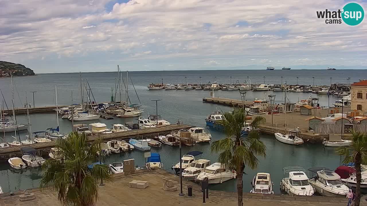 Camera en vivo Koper – puerto deportivo y paseo marítimo desde el Hotel Grand Koper