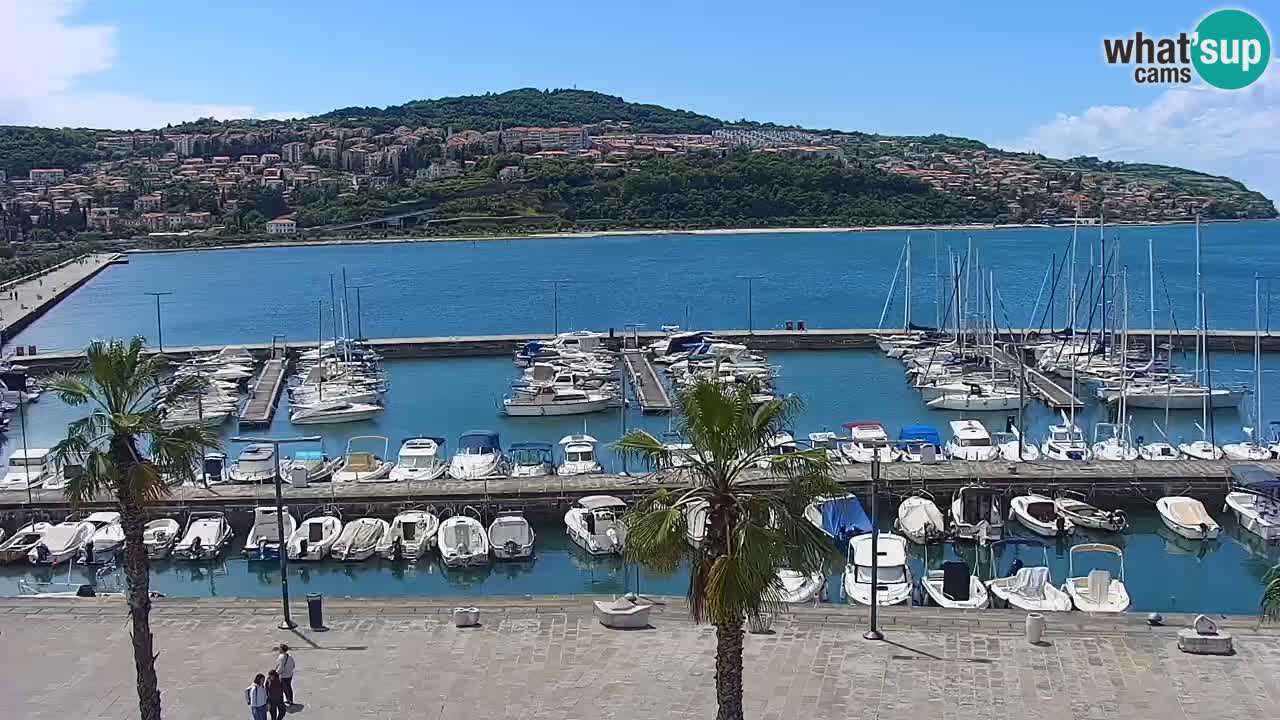 Webcam Koper – Panorama des Jachthafens und der Promenade vom Hotel Grand Koper
