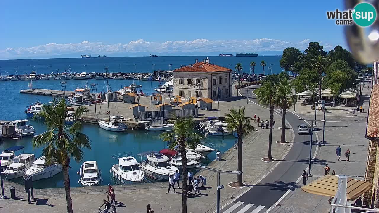 Spletna kamera Koper – Panorama na marino in promenado s Hotela Grand Koper