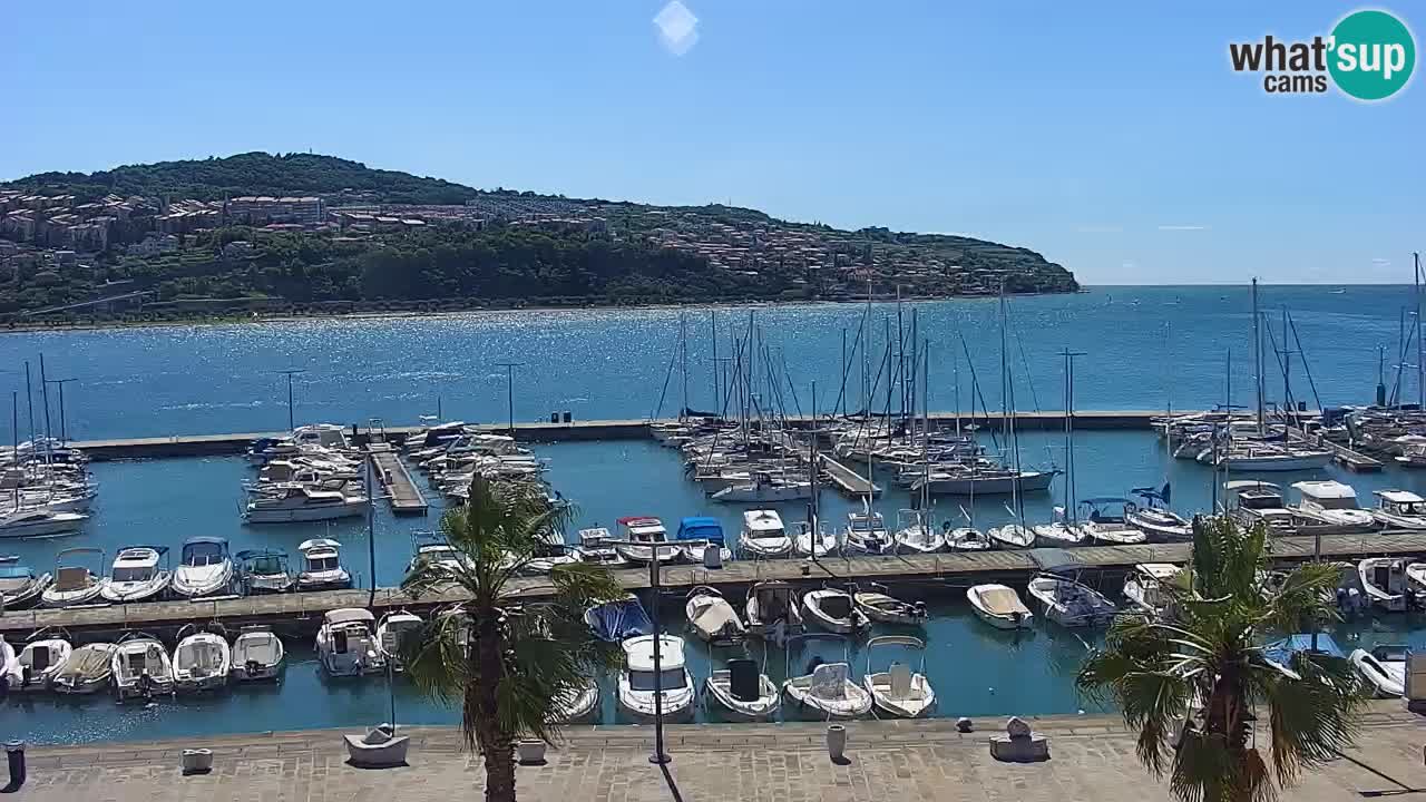 Web kamera Koper – marina i promenada – hotel Grand Koper