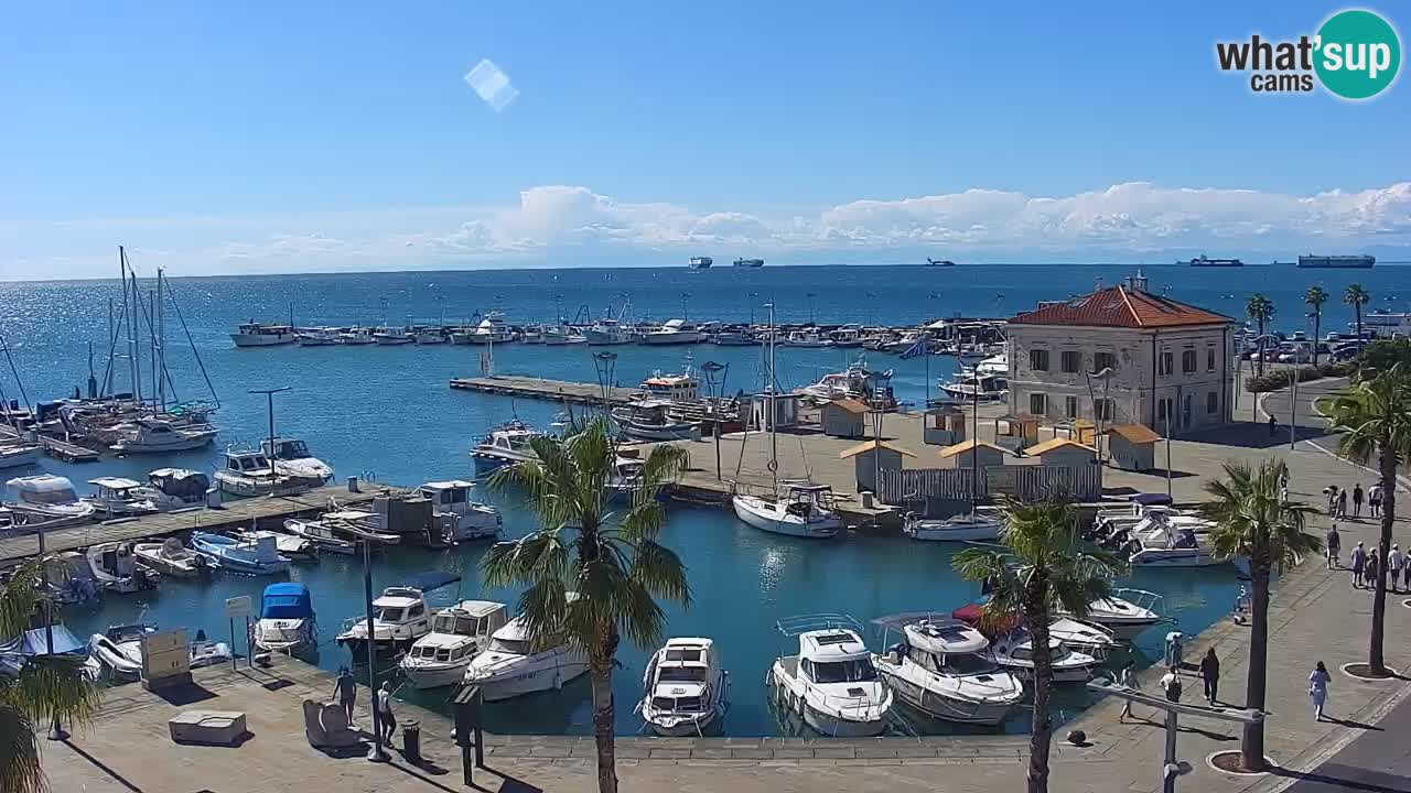 Web kamera Koper – marina i promenada – hotel Grand Koper