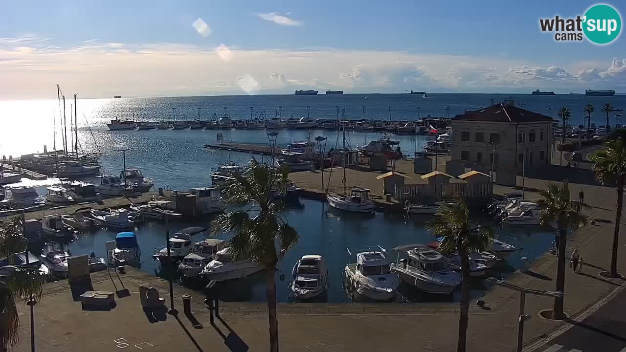 Web kamera Koper – marina i promenada – hotel Grand Koper