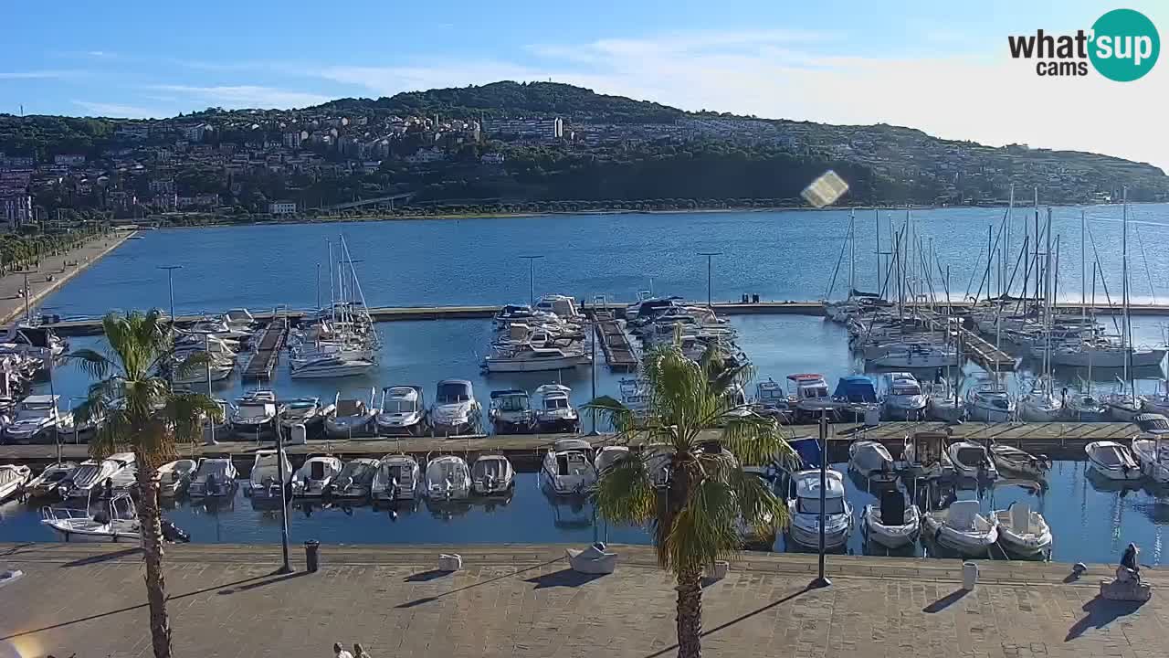 Web kamera Koper – marina i promenada – hotel Grand Koper