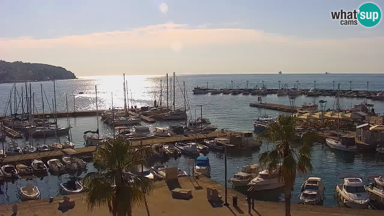 Spletna kamera Koper – Panorama na marino in promenado s Hotela Grand Koper