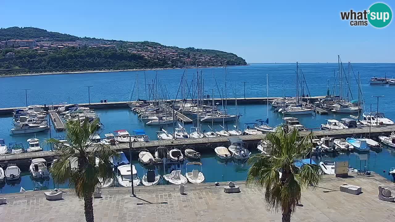 Camera en vivo Koper – puerto deportivo y paseo marítimo desde el Hotel Grand Koper