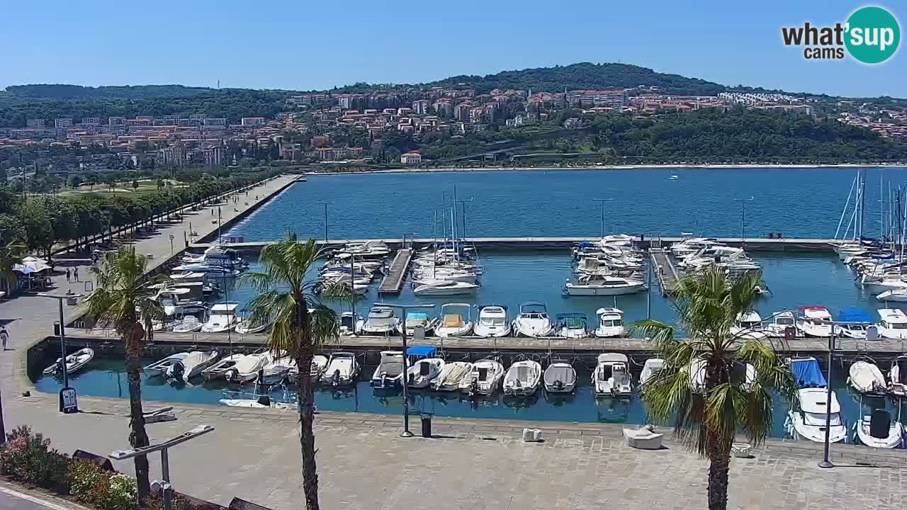 Web kamera Koper – marina i promenada – hotel Grand Koper