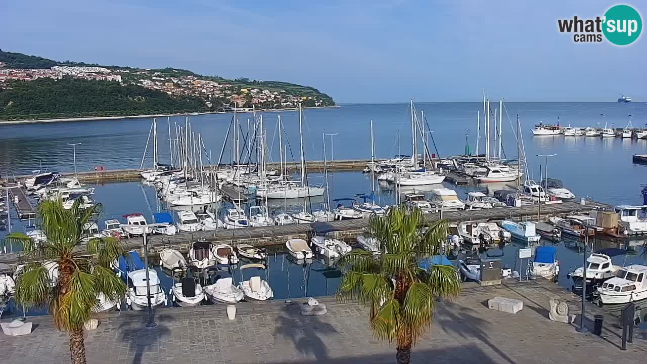 Webcam Koper – Panorama of the marina and promenade from the Grand Hotel Koper