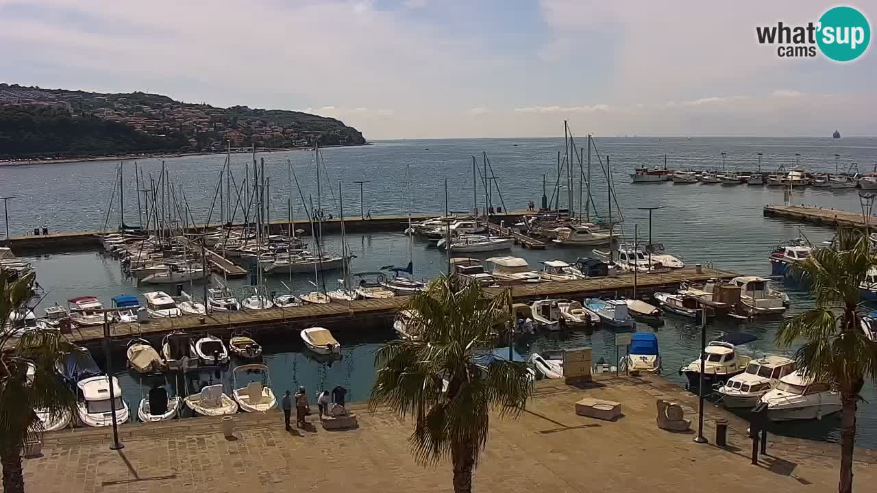 Webcam Koper – Panorama of the marina and promenade from the Grand Hotel Koper