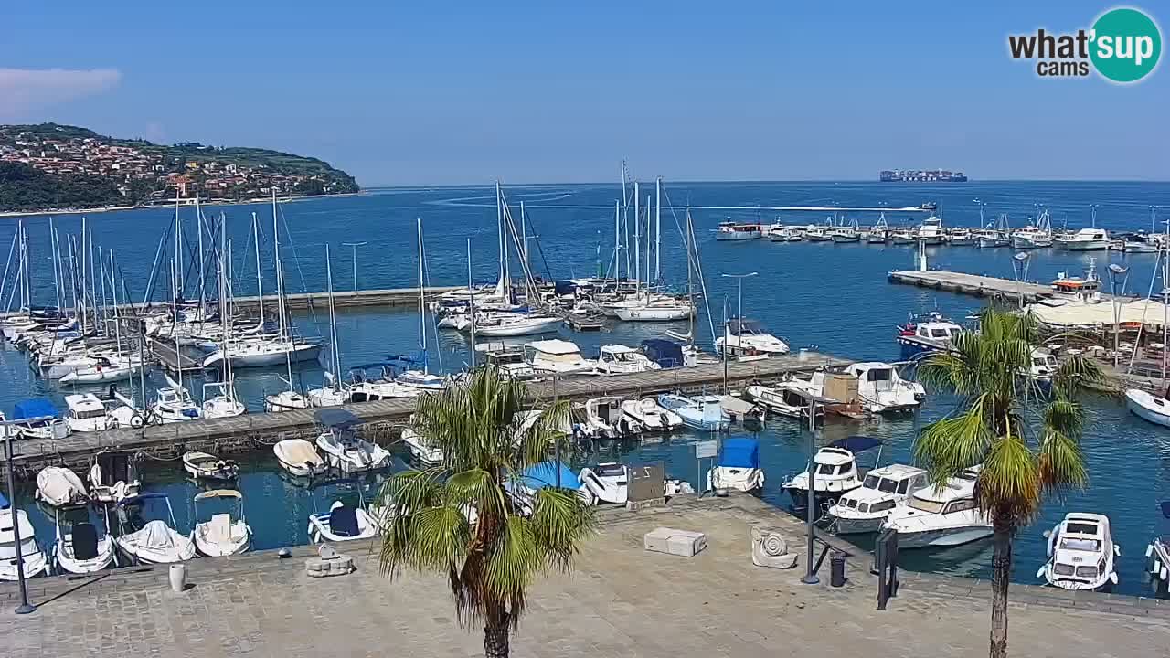 Webcam Koper – Panorama de la marina et de la promenade depuis le Grand Hotel Koper