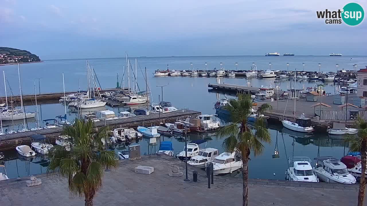 Webcam Capodistria – marina e lungo mare dall’Hotel Grand Koper