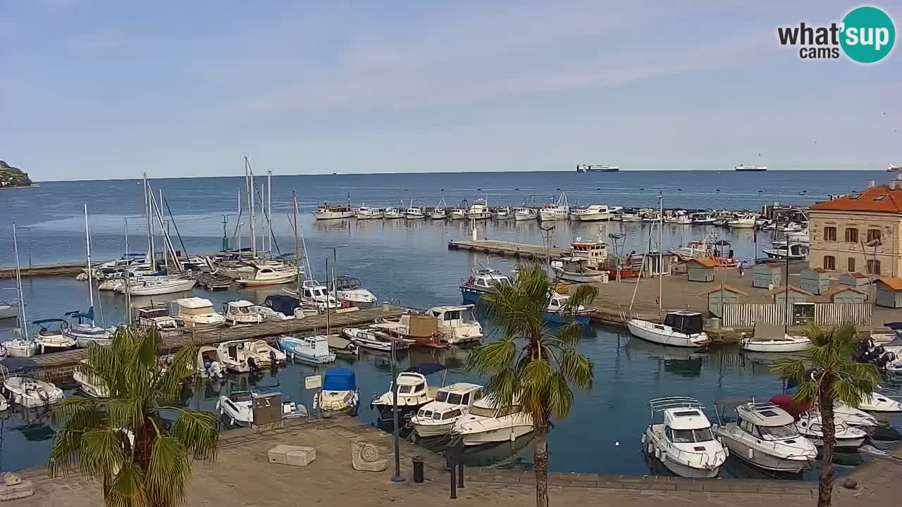 Webcam Koper – Panorama des Jachthafens und der Promenade vom Hotel Grand Koper