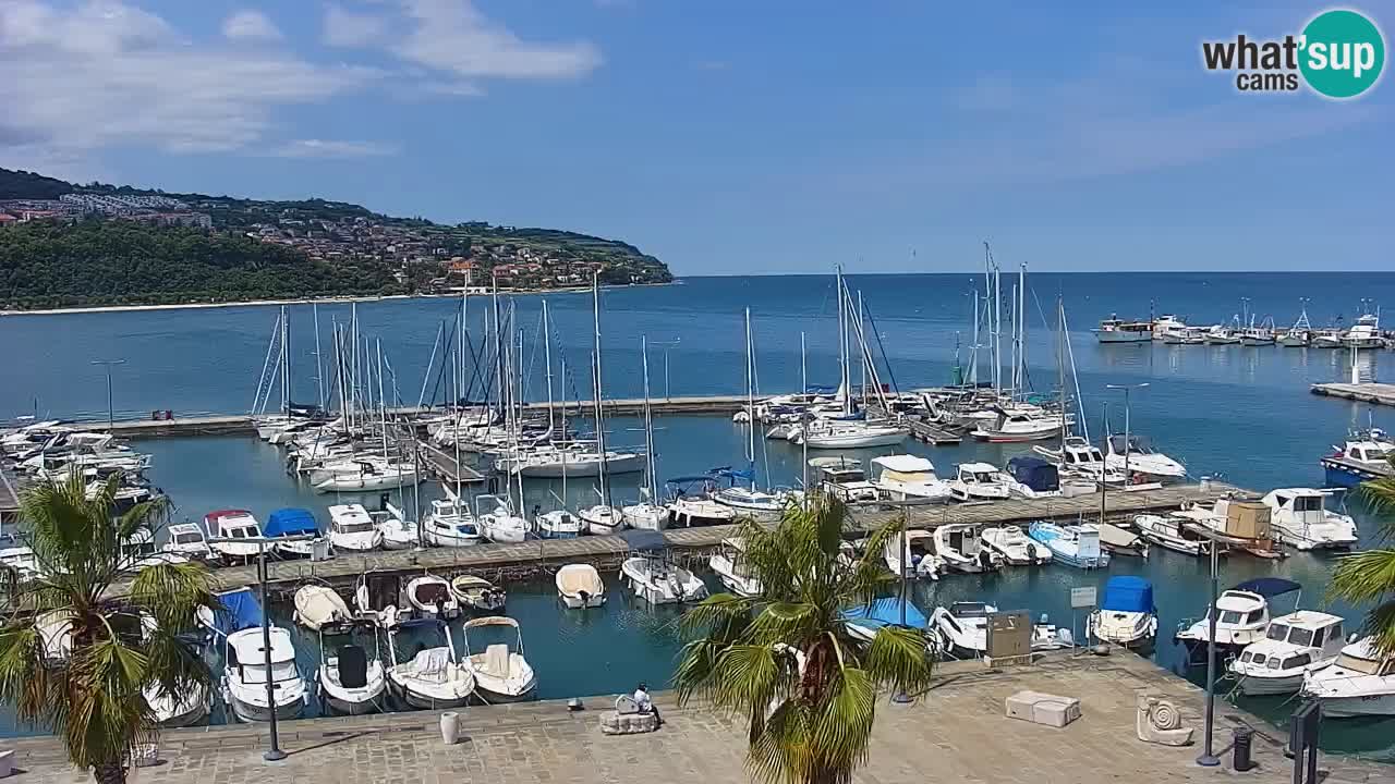 Webcam Koper – Panorama des Jachthafens und der Promenade vom Hotel Grand Koper
