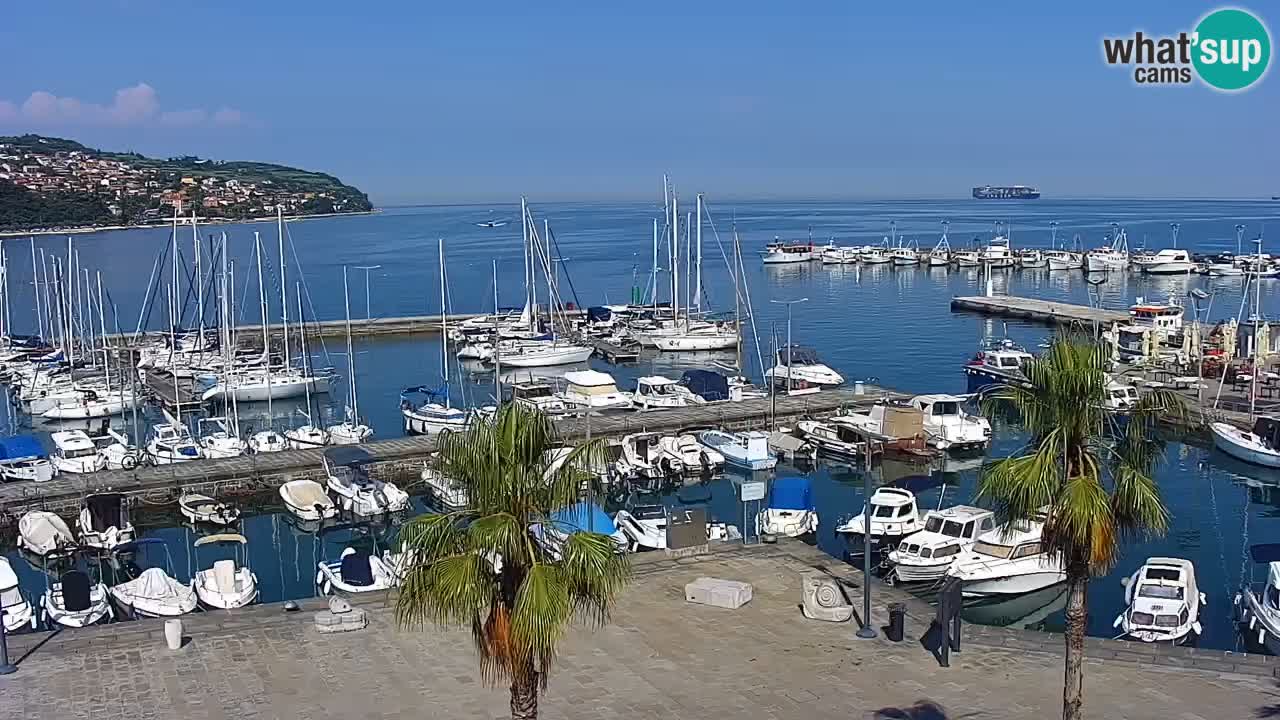 Webcam Koper – Panorama de la marina et de la promenade depuis le Grand Hotel Koper