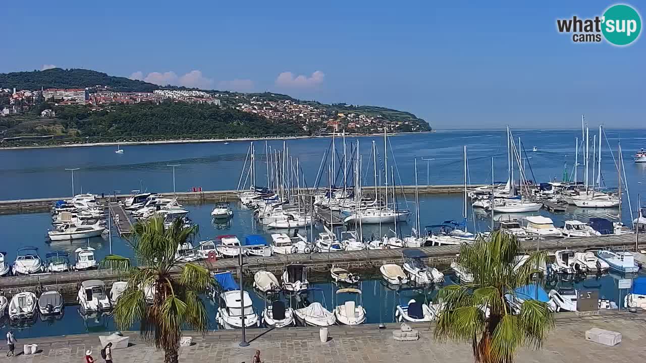 Webcam Koper – Panorama of the marina and promenade from the Grand Hotel Koper