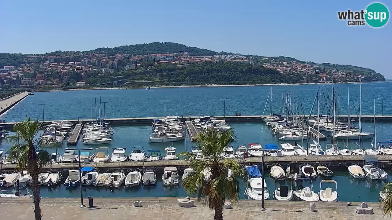 Web kamera Koper – marina i promenada – hotel Grand Koper