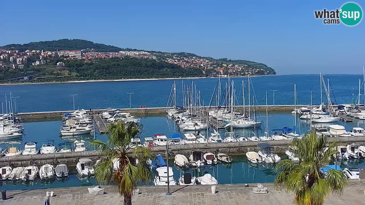 Webcam Koper – Panorama of the marina and promenade from the Grand Hotel Koper