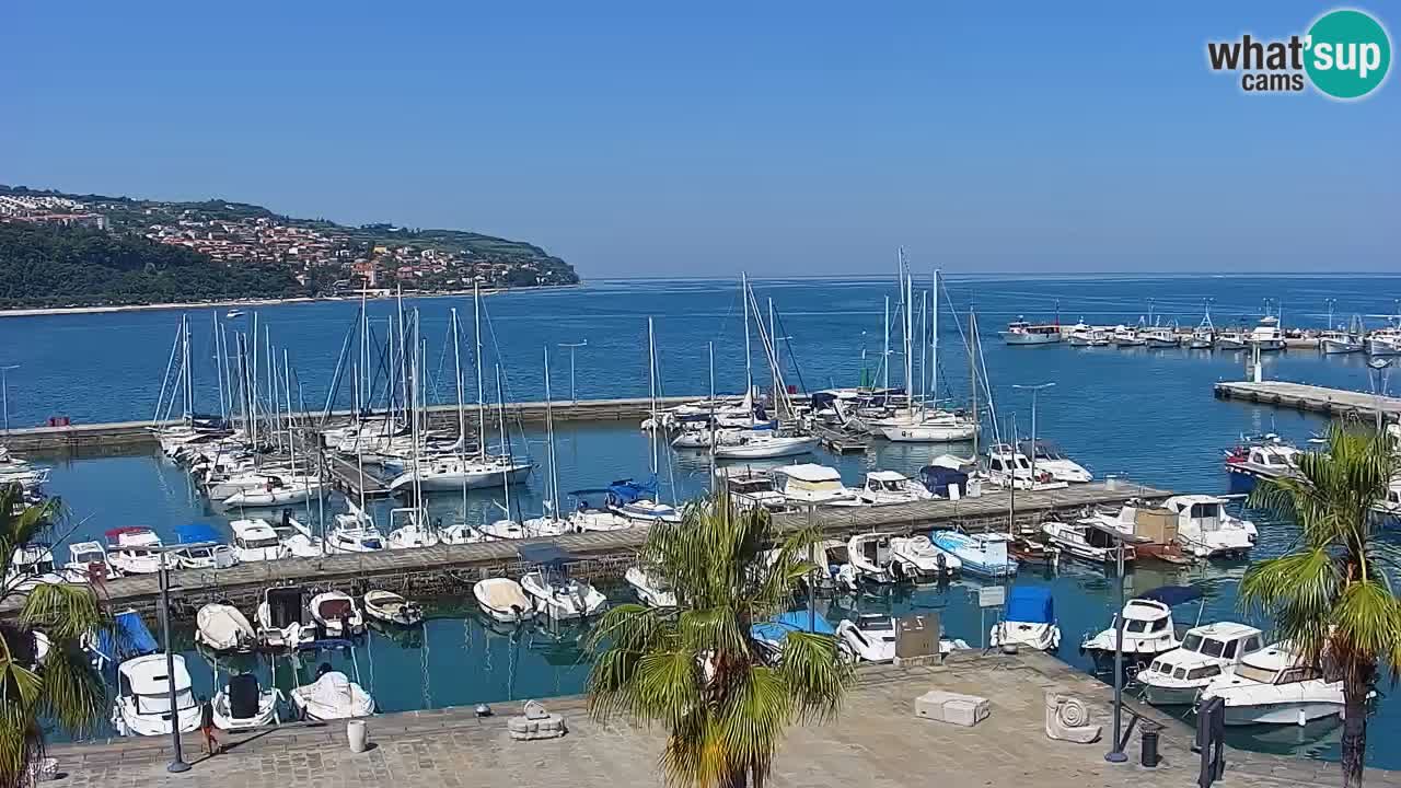 Web kamera Koper – marina i promenada – hotel Grand Koper