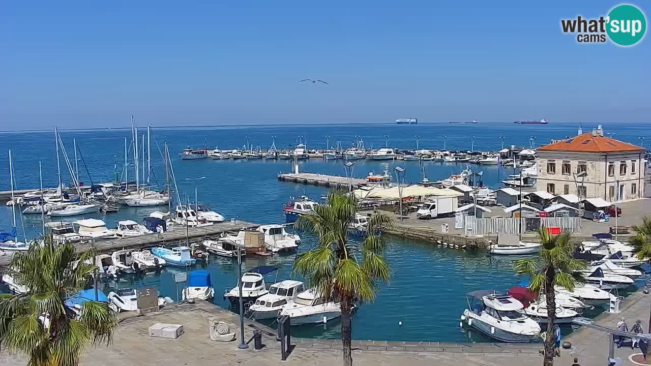 The Port of Koper live webcam – cruise and cargo port – Slovenia