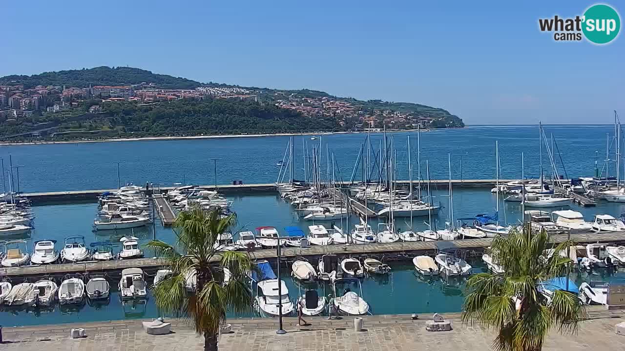 Luka Kopar uživo web kamera – Turistički terminal i teretna luka – Slovenija