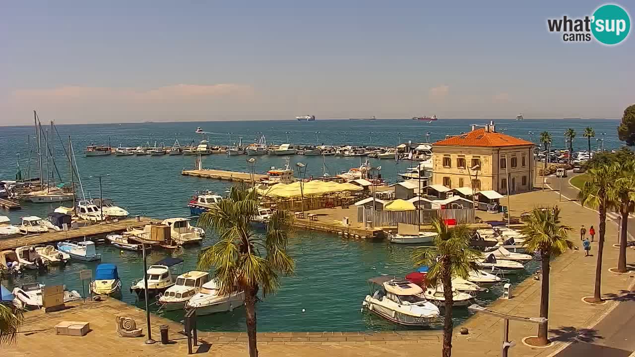 The Port of Koper live webcam – cruise and cargo port – Slovenia