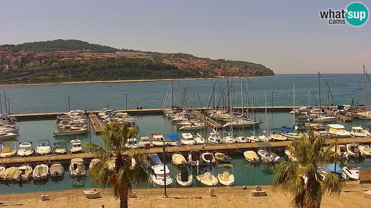 Camera en vivo Koper – puerto deportivo y paseo marítimo desde el Hotel Grand Koper