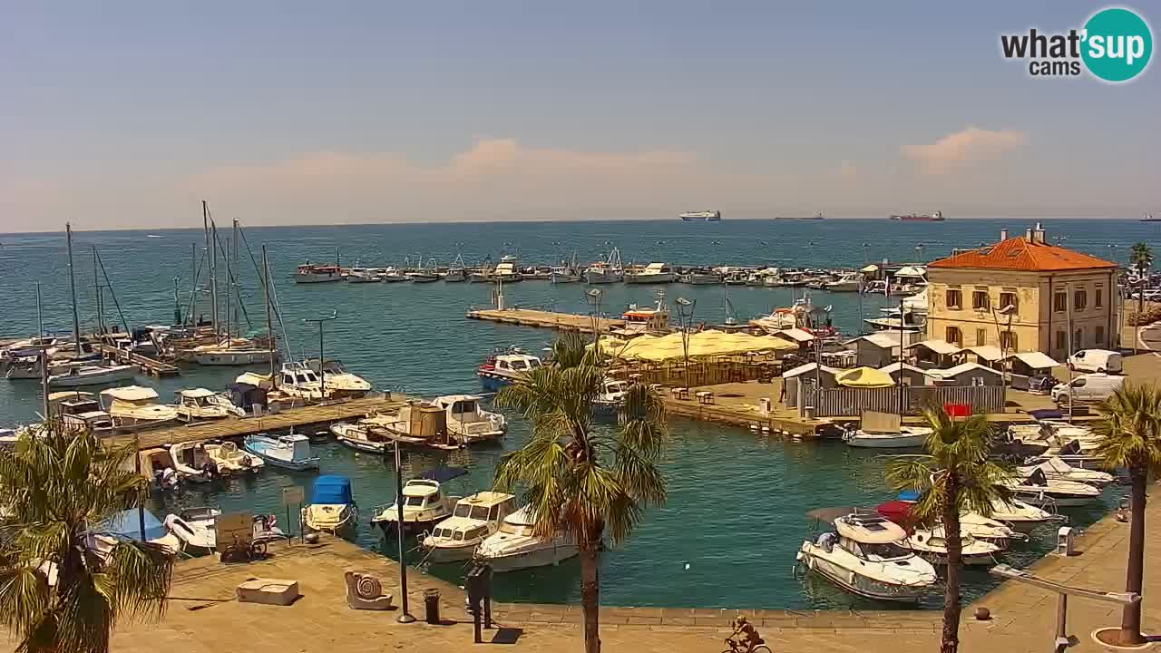 Web kamera Koper – marina i promenada – hotel Grand Koper