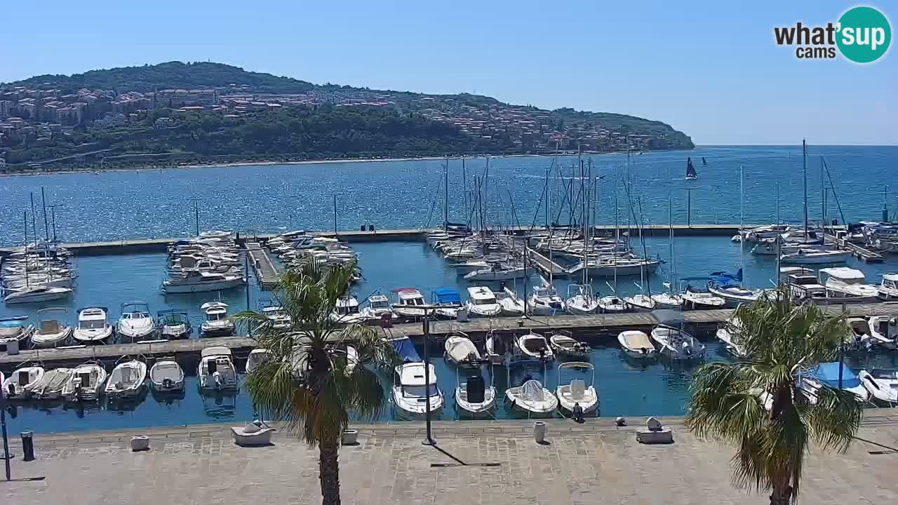 Camera en vivo Koper – puerto deportivo y paseo marítimo desde el Hotel Grand Koper