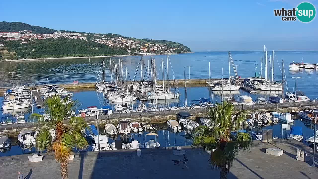 Spletna kamera Koper – Panorama na marino in promenado s Hotela Grand Koper
