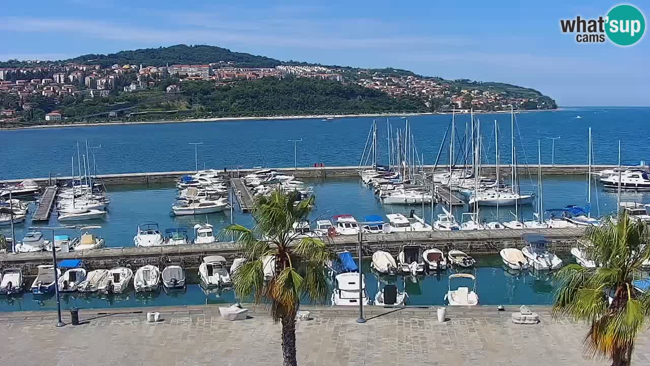 Spletna kamera Koper – Panorama na marino in promenado s Hotela Grand Koper