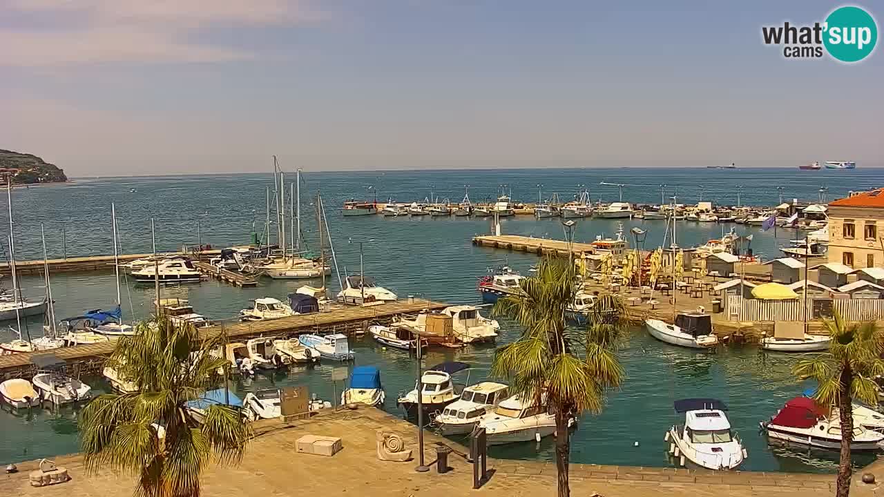 Webcam Koper – Panorama of the marina and promenade from the Grand Hotel Koper