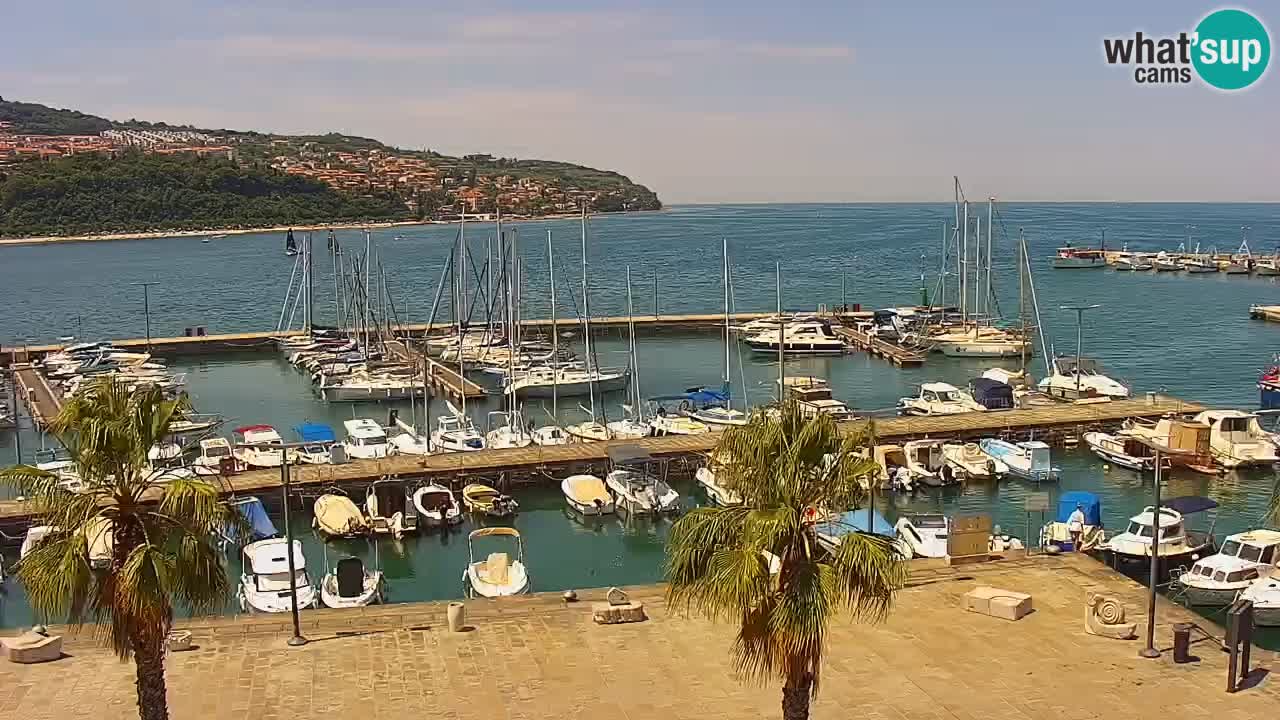 Webcam Capodistria – marina e lungo mare dall’Hotel Grand Koper