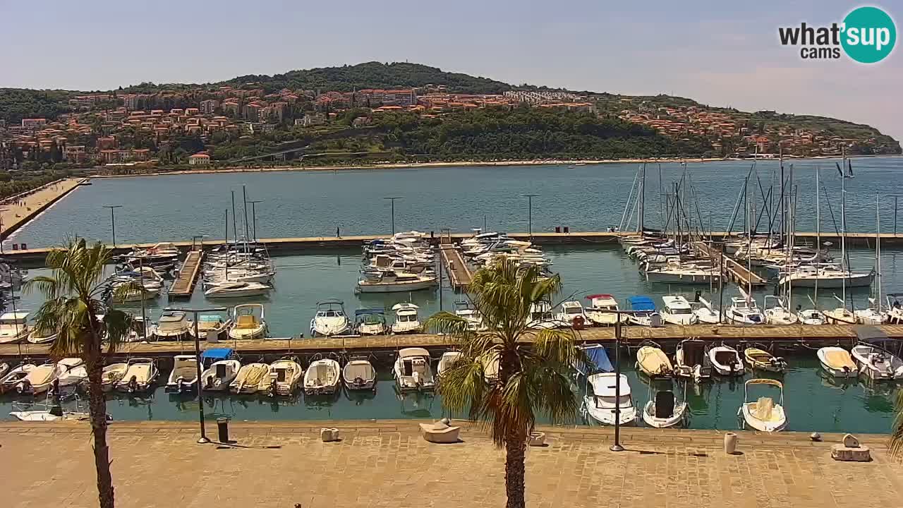Web kamera Koper – marina i promenada – hotel Grand Koper