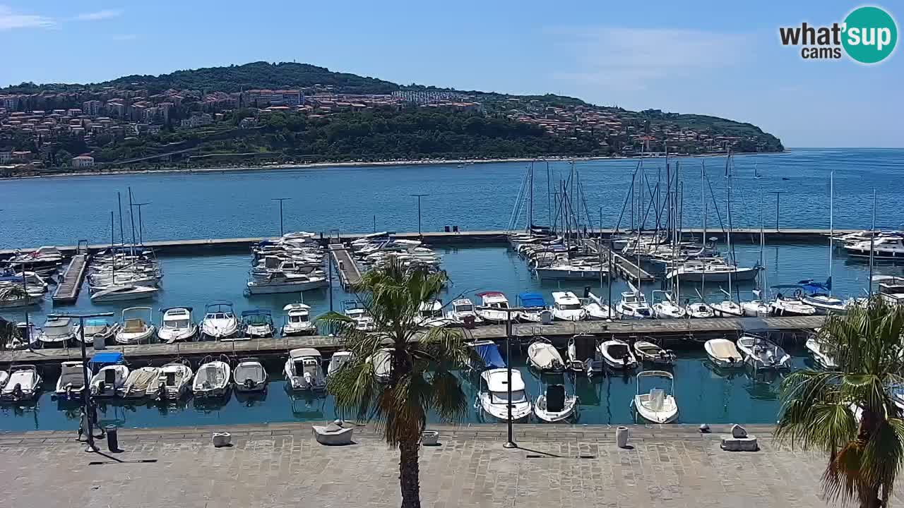 Spletna kamera Koper – Panorama na marino in promenado s Hotela Grand Koper