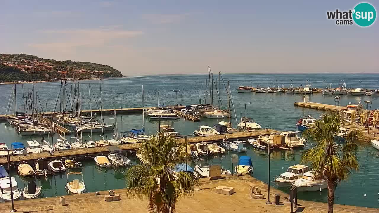 Webcam Koper – Panorama de la marina et de la promenade depuis le Grand Hotel Koper